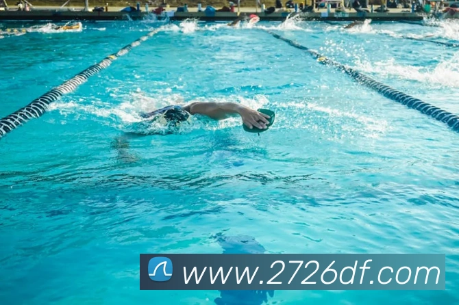 巅峰国际发展历程